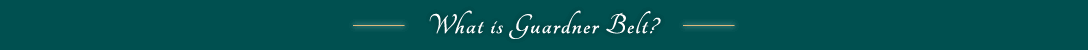 What is Guardner Belt?