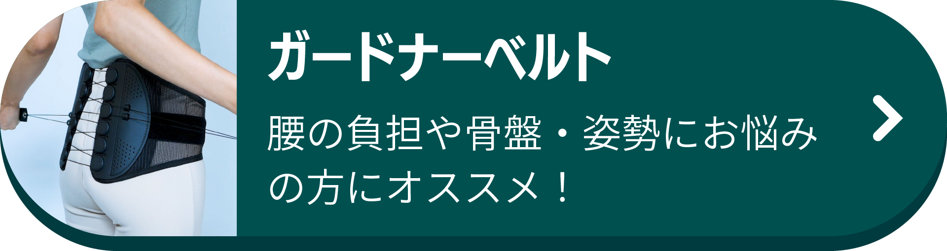 ガードナーベルト