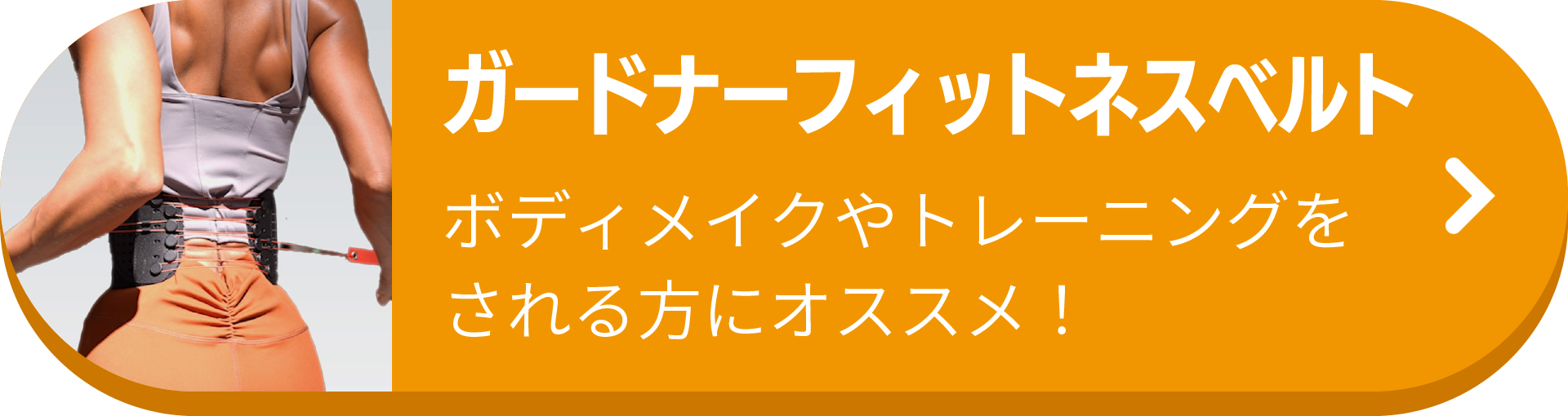 ガードナーフィットネスベルト
