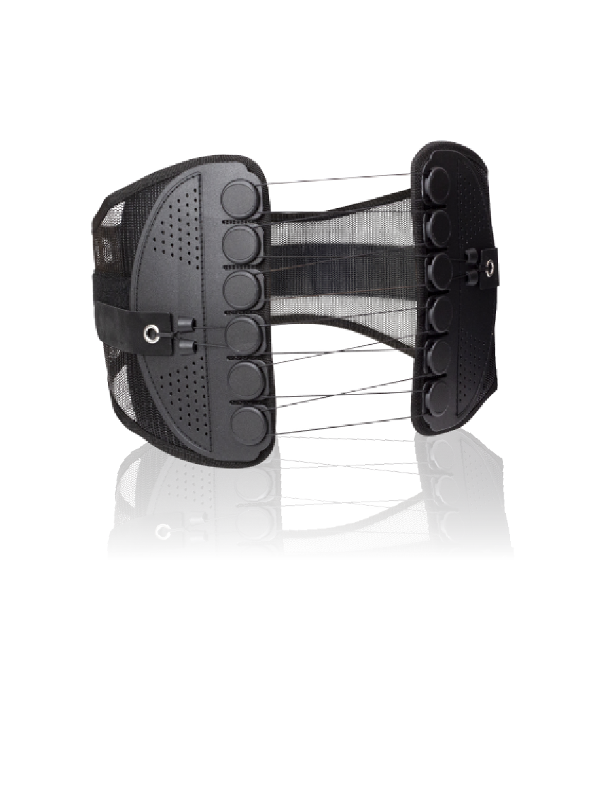 GUARDNER BELT